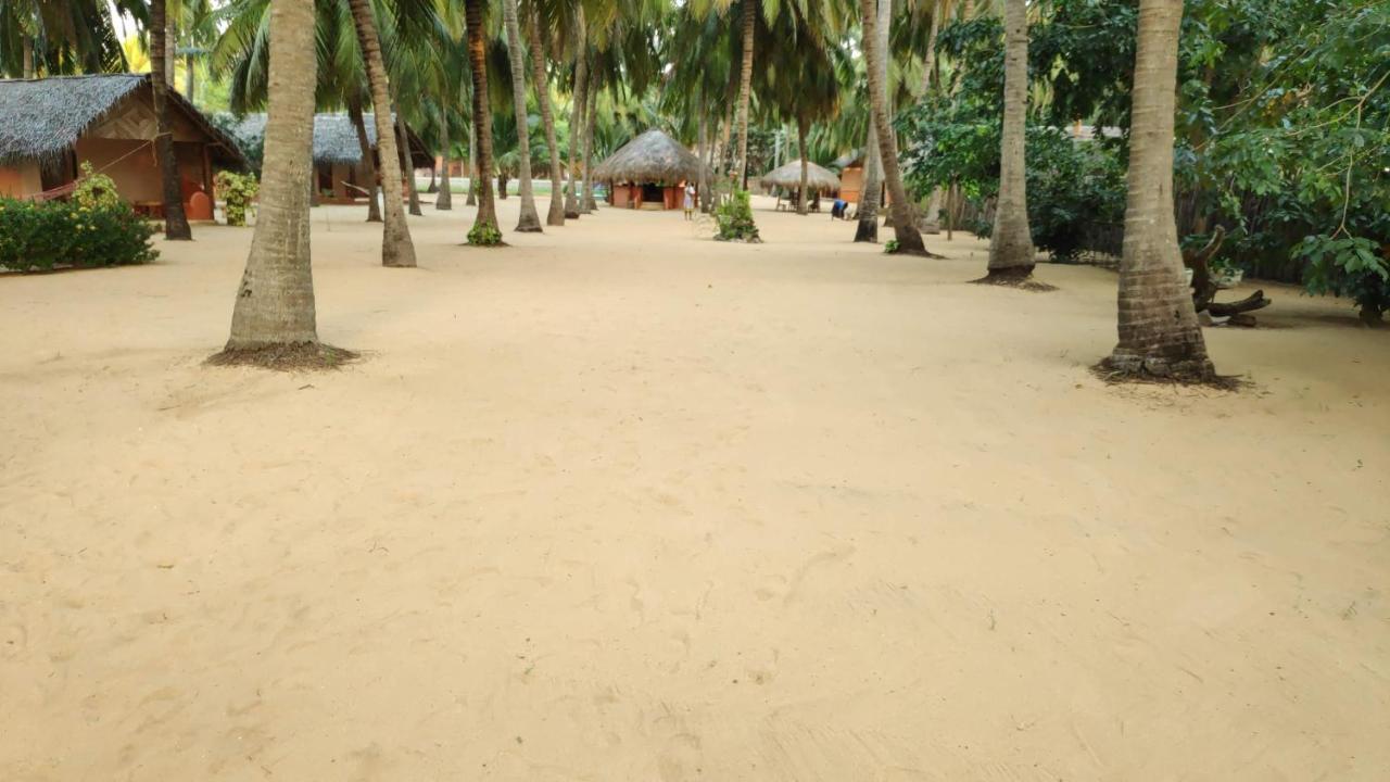 Roshanne Beach Resort Kalpitiya Exterior photo