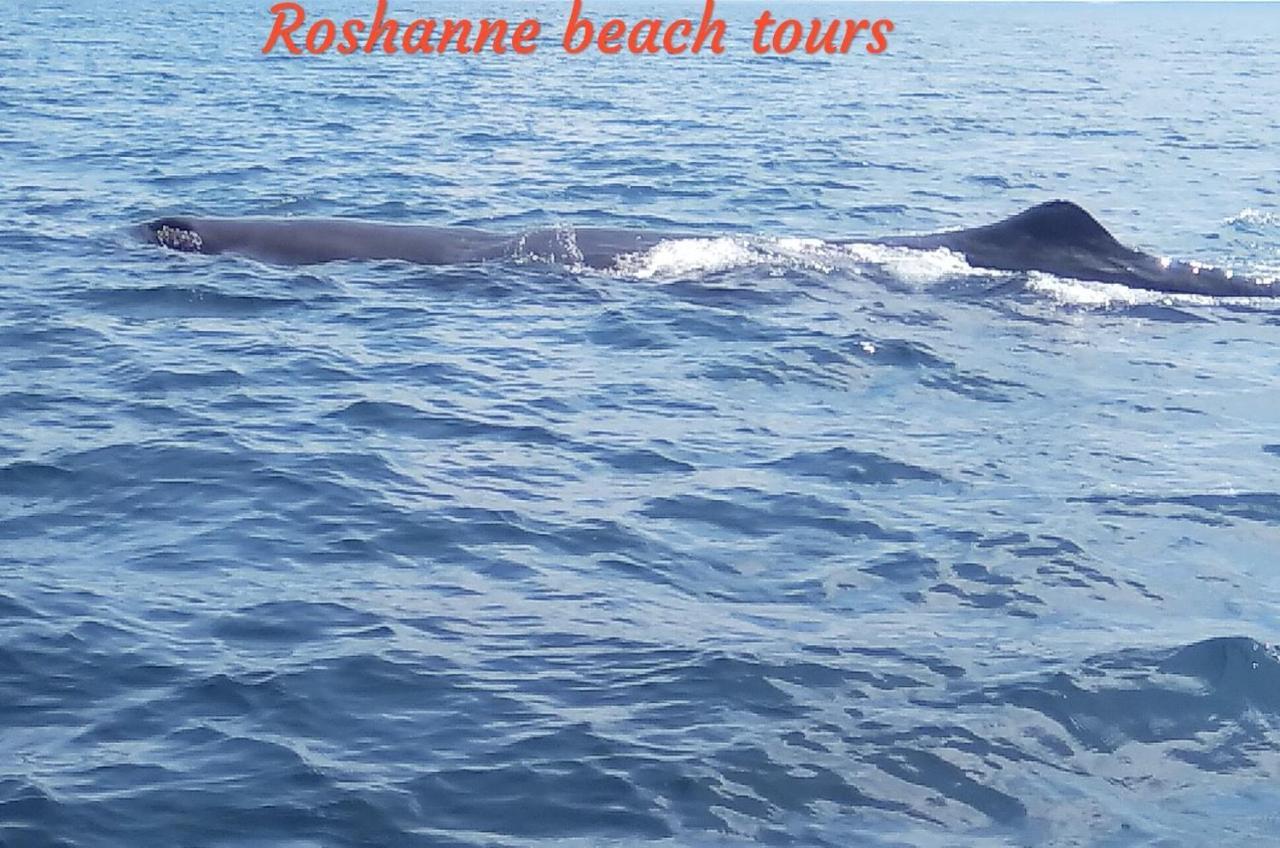 Roshanne Beach Resort Kalpitiya Exterior photo